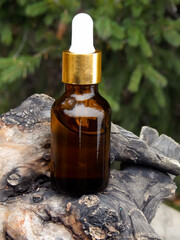 A brown bottle of cosmetic oil with a white cap is located on an old wooden branch against the backdrop of a coniferous tree. Body care concept.
