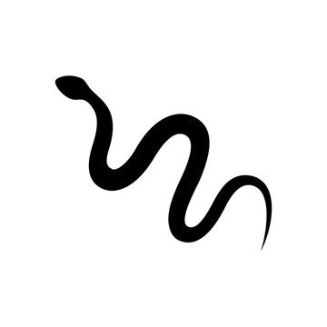 black snake isolated on white