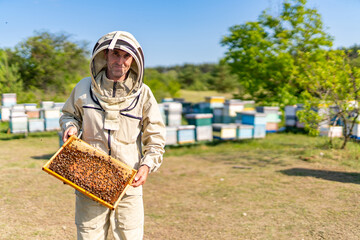 Male beekeeper with wooden bee frame. Handsome man in protective suit harvesting honey.