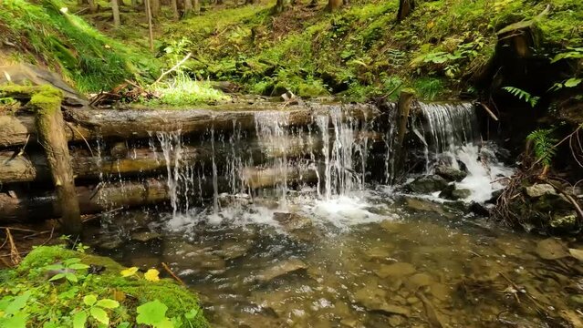 Small waterfall cascade in crystal mountain stream in green forest nature background