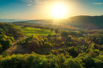 Sunrise landscape of agricultural and vineyards field in the countryside, beautiful hills, forest and fields.