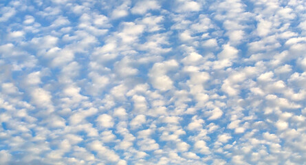 Cirrus-cumulus clouds.