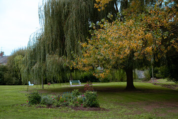 parc en automne