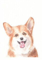 Watercolor welsh corgi dog. Charming puppy on a white background. Realistic cute dog portrait illustration for postcards and print.