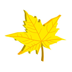 Naklejka na ściany i meble Autumn colorful fallen yellow maple leaf isolated on white background. Dry bright acer leaves. 3d illustration. Icon. Fall season. Design element for seasonal advertising. Flyer. Poster. Card. Foliage