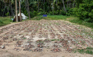 Heap of broken pottery pieces at Keezhadi excavation site, Madurai, Tamil Nadu