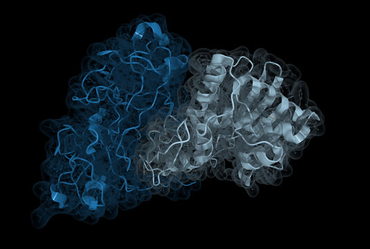 A rendering of a 3D molecular model of ricin - plant cytotoxin that can be used as a weapon in biological warfare and bioterrorism. It is composed of two chains: targeting moiety, and toxic portion.