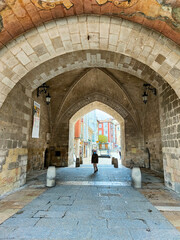 Fototapeta na wymiar entrance to the castle