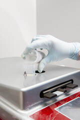 Scientist preparing microscope slides with liquid based cytology method for pap smear test....