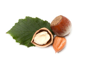 Hazelnuts with green leaves isolated on white background, top view