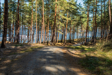 Ścieżka rowerowa las Mierzei Wiślanej © Marcin