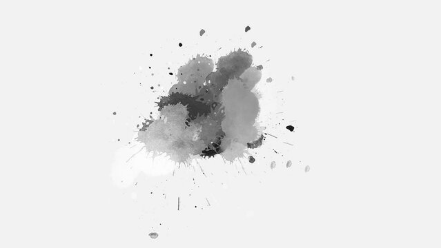 Ink splatters slow motion transition animation. Ink brush stroke transition. Ink splash. Abstract inkblot, splat, fluid art, overlay, alpha matte composition. ink spills onto white paper.