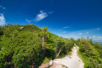 A mountain hiking  path in summer time. Krkonose. Czech Republic. Poland.