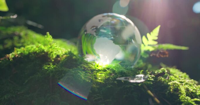 Crystal globe on moss in a forest