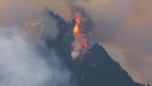 BC Forest Fire and Smoke over the mountain near Hope during a hot sunny summer day. British Columbia, Canada. Wildfire natural disaster. Slow Motion