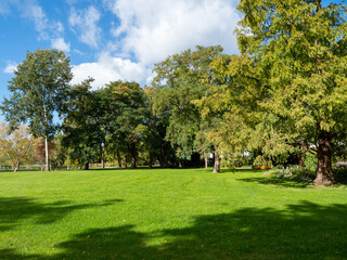 Fototapeta na wymiar Beautiful colorful trees in the autumn park.