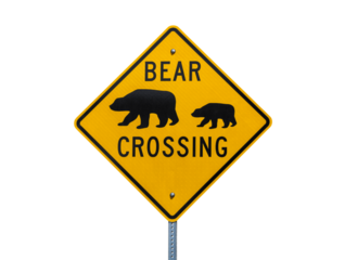 Bear Crossing highway sign isolated.