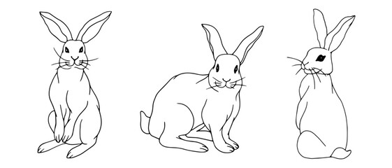 Set of linear meshes of forest hares, rabbits, vector graphics.