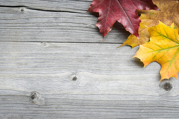 Naklejka na ściany i meble table and autumn elements
