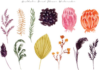 Aesthetic Dried Flower Watercolor Collection