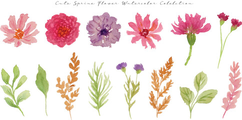 a set of cute  flower and leaf watercolor element