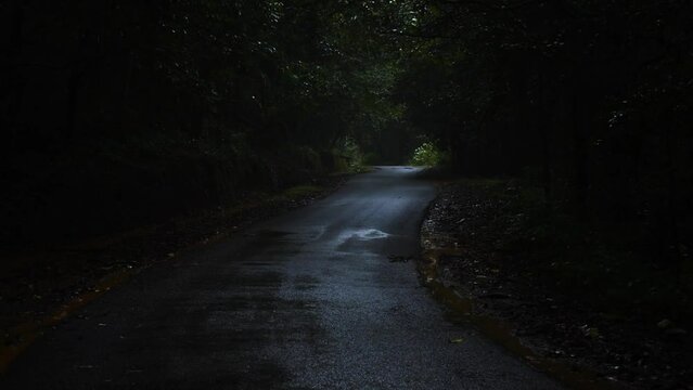 Footage of beautiful Indian road passing in the dark forest during monsoon.