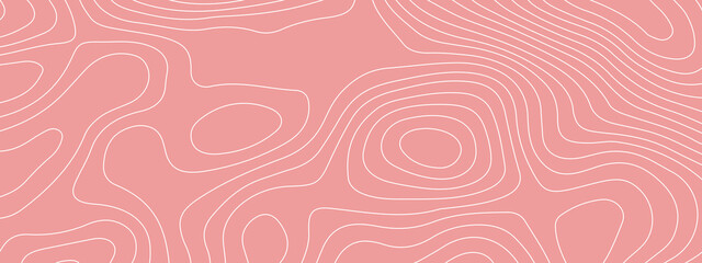 The stylized colorful wavy abstract topographic map contour, lines Pattern background. Topographic map and landscape terrain texture grid. Wavy banner and color geometric form. Vector illustration.