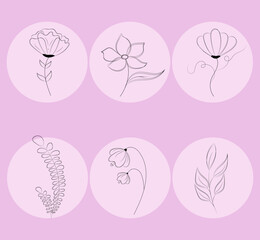 floral set with plants