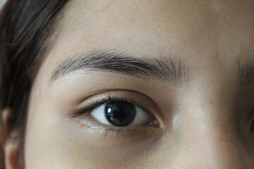 Fototapeta premium close up of eye