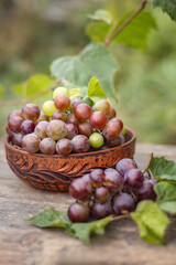 Still-life. Photo of ripe grapes in a plate.