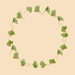 Round frame with fresh green ginkgo biloba leaves on pastel beige background. Flat lay, top view minimal neutral herbal arrangement. Ginkgo biloba.