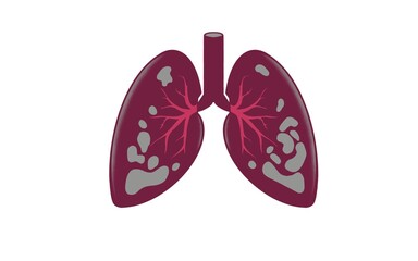 Lungs Anatomy drawing people on Isolated White Background