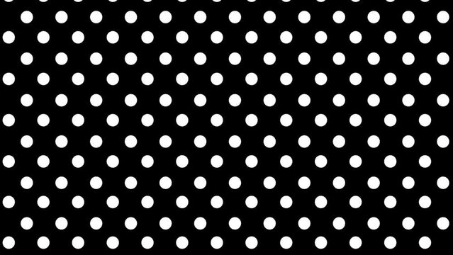 Animated white circle dots on black background. White color polka dot circle round pattern animation motion background.