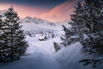 Crawler hall, Tatra Mountains, winter, snow, panorama, Poland. Tatry, zima, śnieg, mróz. Widok na: Hala Gąsienicowa, Betlejemka i góry. Polska - obrazy, fototapety, plakaty