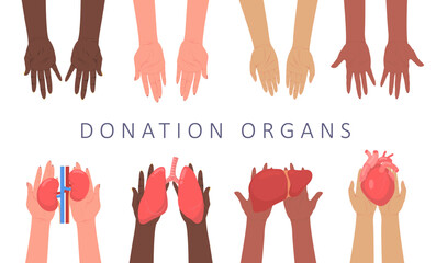 Donor flat vector organ surgery transplant