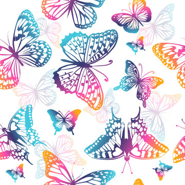 colored butterflies seamless pattern. Vector illustration