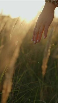 Girl is walking on summer field. Woman in dress strokes grass with hand. Unity of human with nature. Travel concept. Beautiful sunset lights in field. Grass swaying in the wind. Cinematic Slow Motion.