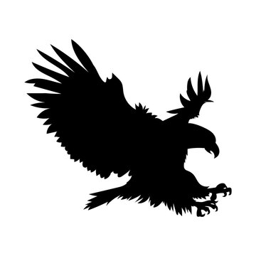 eagle flying silhouette