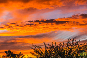 Fototapeta na wymiar Colorful Sunset Sonora Desert Tucson Arizona