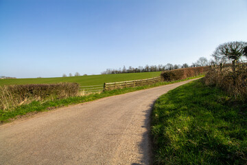 Fototapeta na wymiar country lane and farm road in the West Coutry in Winetr with bare trees, hedge rows, green fields and clear blue skies 