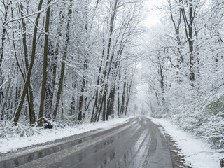 road in winter