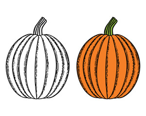 pumpkin halloween coloring pages. pumpkin vector illutration. hand drawn pumpkin for coloring book vector