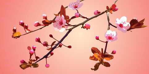 Abstract cherry flower with pinkish background