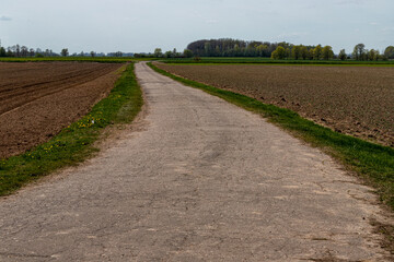 Fototapeta na wymiar Pathway With Trees On Sunny Day .The road is winding