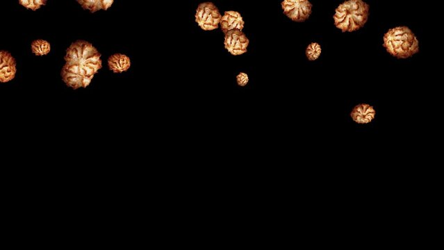 Isolated baked falling sugar cookies with black background. 23,98 fps