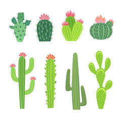 Big and small cactuses vector illustrations set. Collection of cacti, spiny tropical plants with flowers or blossoms, Arizona or Mexico succulents isolated on white background. Flora, nature concept