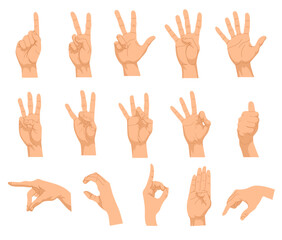 Set of different hand gestures. Vector illustrations of human palm showing numbers, gesturing signs. Cartoon peace symbol, thumbs up, ok positions isolated on white. Hand communication concept