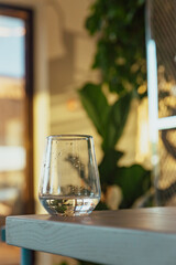A glass of cool water on the table. Modern blue loft interior restaurant or cafe. No people. Background with plants, warm daylight.