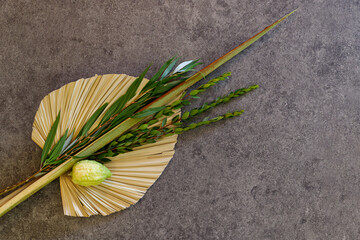 Jewish holiday of Sukkot. Traditional symbols (The four species): Etrog (citron), lulav (palm...