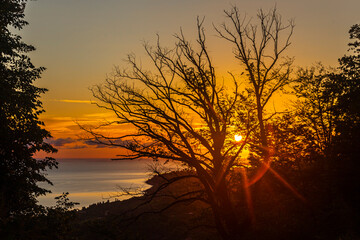 Sunset on the sea and the tree